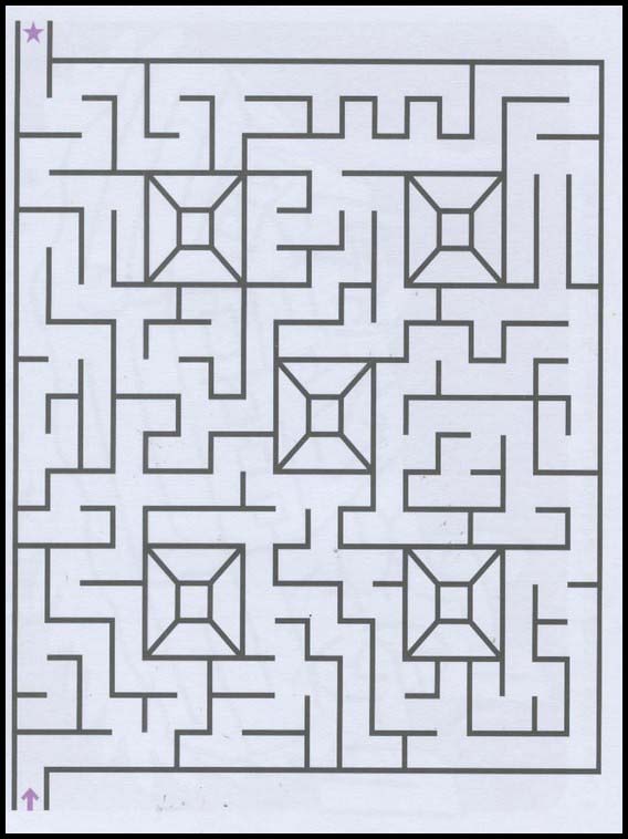 Labyrinten 272